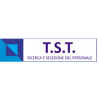 T.S.T. Consulting